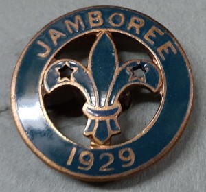 WJ 1929 pins