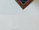 wj 1959 pin and woggle