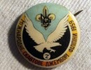 wj ukranian contingent pin