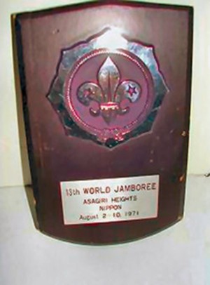 wj 1971 placca wj 1971 placca