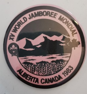 wj unofficial big pin3 wj unofficial big pin3