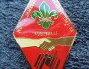 wj 1987 adult award