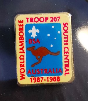 wj 1987 bsa pin