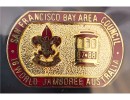 wj sf contingent pin