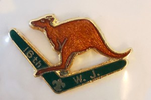 wj cangaroo green wj cangaroo green