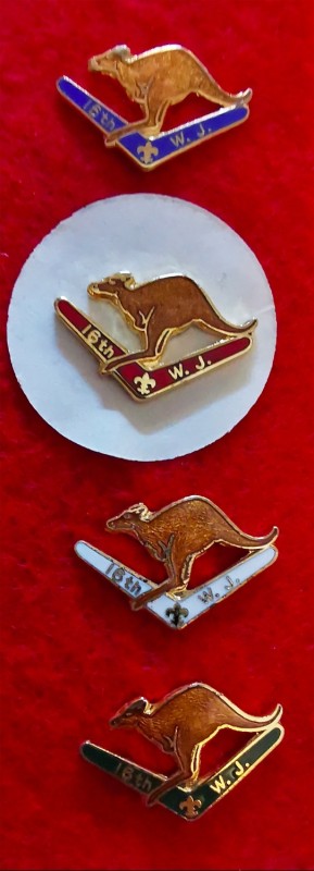 wj kangaroos wj kangaroos