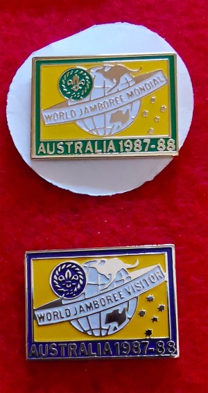 wj pins visitors wj pins visitors