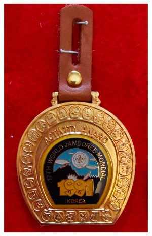 wj activity award jouth wj activity award jouth