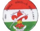 wj 1991 hungary