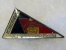 wj 1991 korean scouts pin